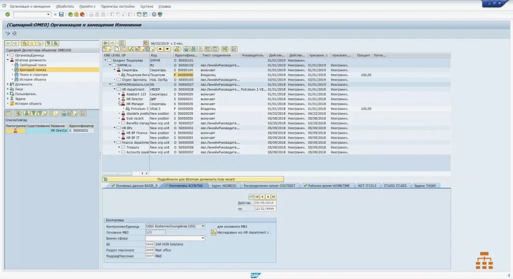 sap3.png