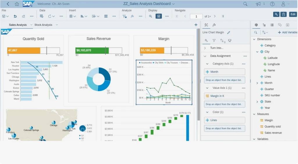 sap_bi.png