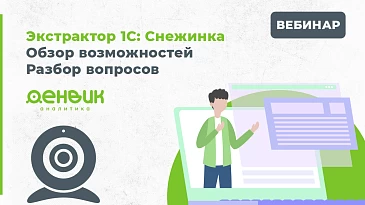 28 февраля компания Денвик провела вебинар, посвящённый возможностям программного решения Экстрактор 1С: «Снежинка».