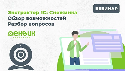28 февраля компания Денвик провела вебинар, посвящённый возможностям программного решения Экстрактор 1С: «Снежинка».