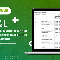 P&L в финансовом анализе и принятии управленческих решений