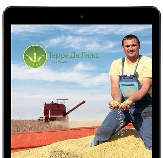 Внедрение Экстрактора данных из 1С в BI для Терра Де Люкс, Тамбовская область