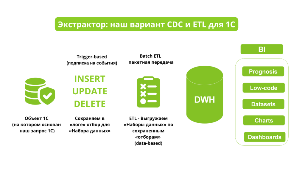 CDC3 CDC3
