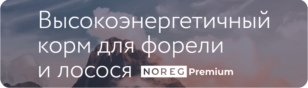 noreg_111111.png