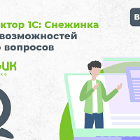 28 февраля компания Денвик провела вебинар, посвящённый возможностям программного решения Экстрактор 1С: «Снежинка».