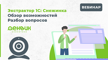28 февраля компания Денвик провела вебинар, посвящённый возможностям программного решения Экстрактор 1С: «Снежинка».
