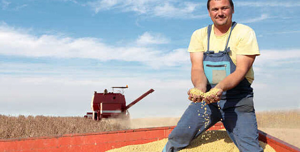 Внедрение Экстрактора данных из 1С в BI для Терра Де Люкс, Тамбовская область